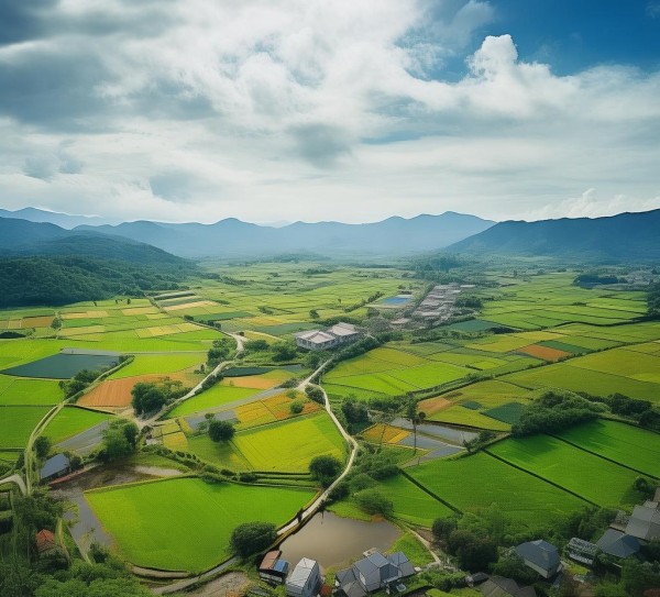 助力乡村振兴，商贸服务学校新征程